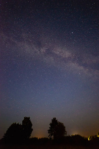 七彩树在夜空中看到的银河系图片