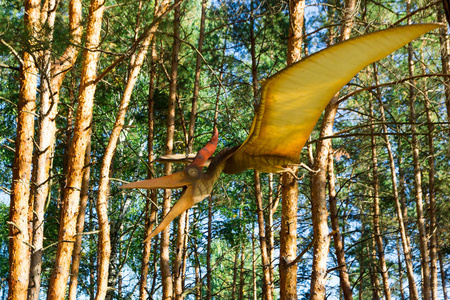 在公园里的恐龙一只恐龙在森林里的树下徘徊的身影照片