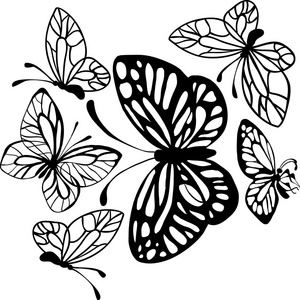 矢量绘图剪影蝴蝶照片