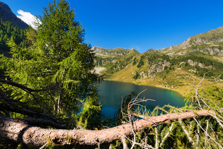 Lago di Campo美妙特兰托意大利