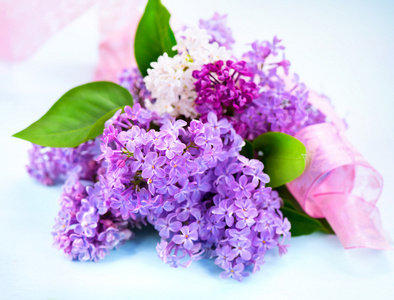 丁香花束照片