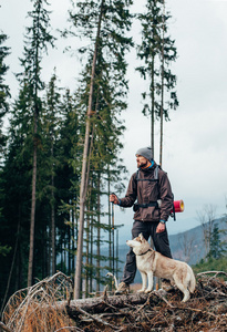 与西伯利亚哈士奇犬小狗看着美丽的景色，在山中徒步旅行者