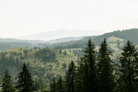 农村山风景