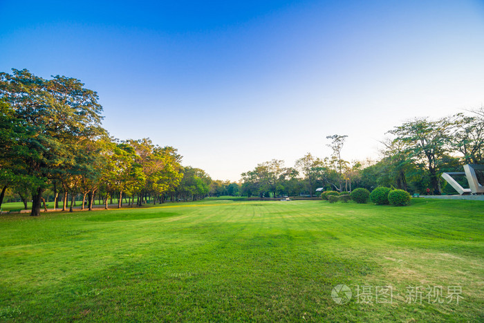美丽的公园树木变绿草在蓝蓝的天空,绿色的夏天 par