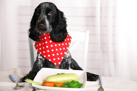 狗看板的新鲜蔬菜上餐桌