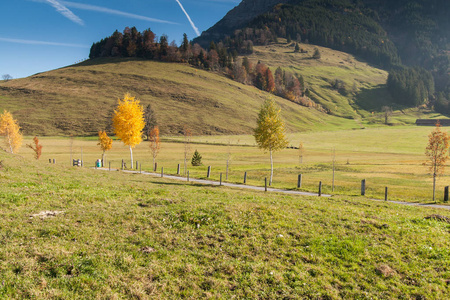 这儿秋季景观山 Rigi 和卢泽恩湖，阿尔卑斯山附近