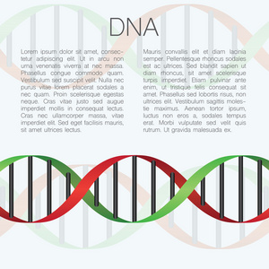 与 Dna 分子与地方为文本的医学背景。可以是