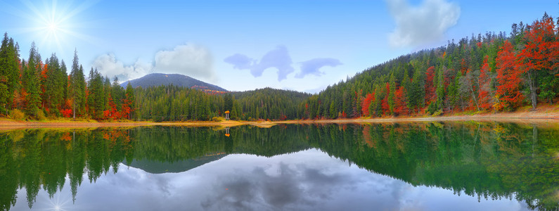 如诗如画的湖在秋天的树林