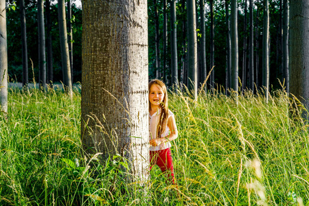可爱小学龄前儿童女孩画像在日落森林