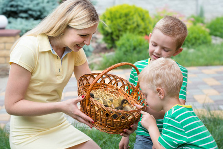 妈妈的小鸭子柳条篮子里显示儿童
