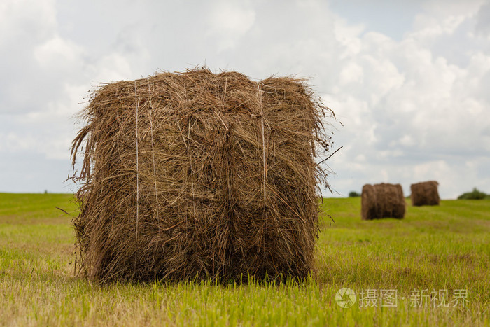 干草堆