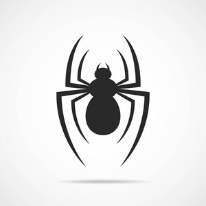 在木材中的昆虫蜘蛛图片