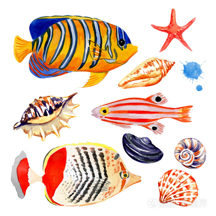 海洋鱼类的一整套插画-正版商用图片0e8y21-摄图新视界