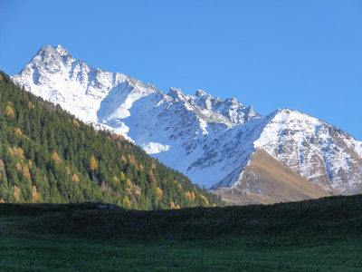 伟大的 St Bernard 山