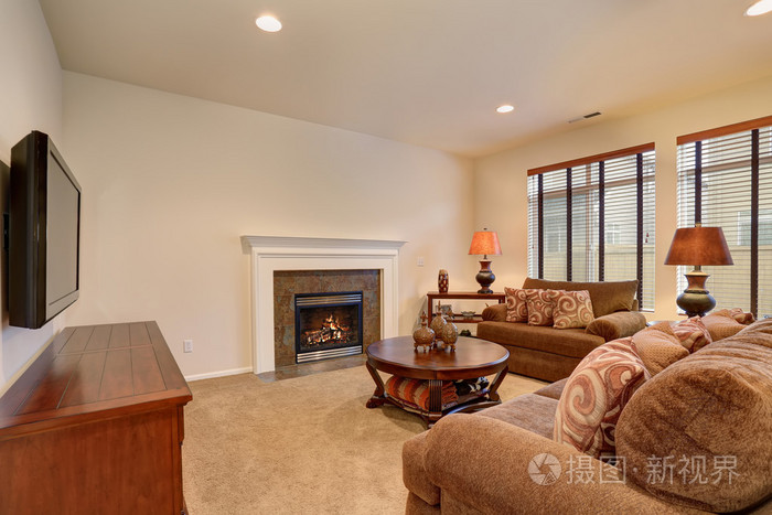 典型的客厅里在美国人家里有地毯和天鹅绒sof