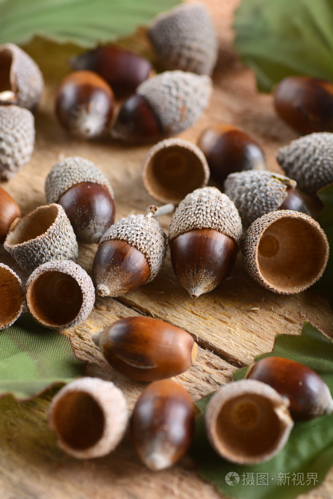 在桌子上的棕色橡子