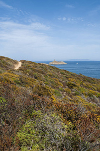 科西嘉 地中海游击队在上章科西嘉的自然观与沿海路径上保留的 les 临危 Finocchiarola，名叫 Terra Me