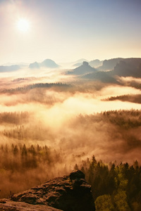 如梦似幻雾气弥漫的森林景观。美琪大峰树木砍照明雾。深深的山谷充满了五颜六色的雾
