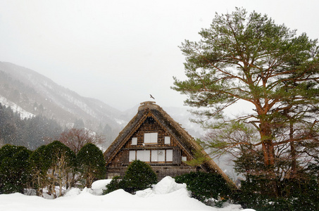 冬天白川乡日本