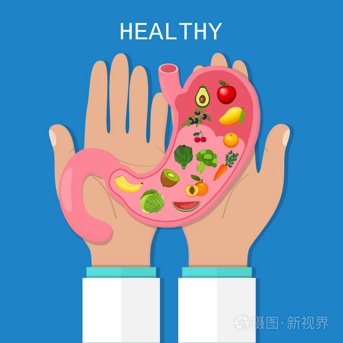 人体内部器官.健康的食物.消化.消化道系统.卫生保健.平面样式.矢量图