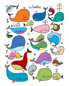 鲸鱼集合，为您设计素描
