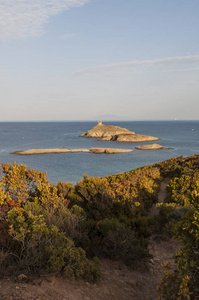 科西嘉 地中海游击队在上章科西嘉的自然观与沿海路径上保留的 les 临危 Finocchiarola，名叫 Terra Me