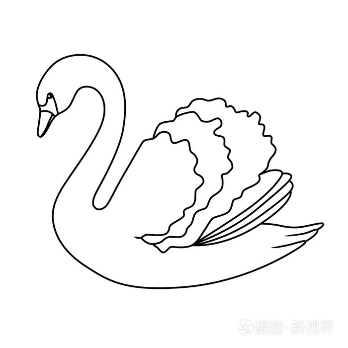 天鹅黑白色鸟孤立的图矢量插画-正版商用图片0e9qag-摄图新视界