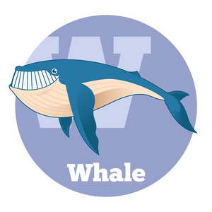 Abc 卡通 Whale2