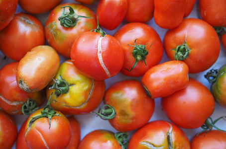 番茄蔬菜食品图片