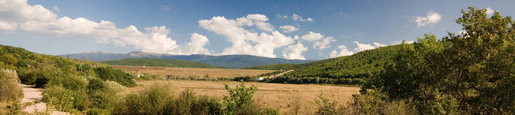 无缝的夏日风景