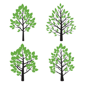 组的树和绿色的树叶。矢量图