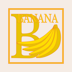B香蕉，字母表。英文大写字母 B.矢量平面插画的香蕉分支。教育卡。抽认卡字母 B