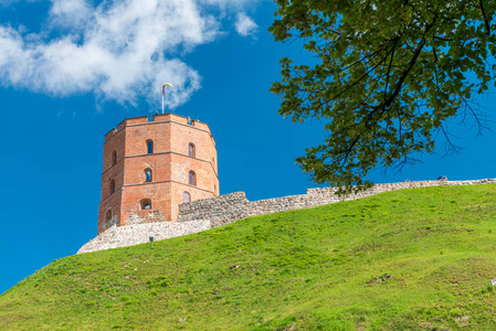 城堡的维尔纽斯，立陶宛