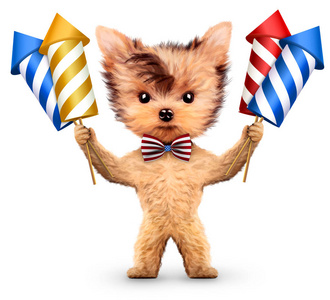 有趣的狗举行烟花火箭照片