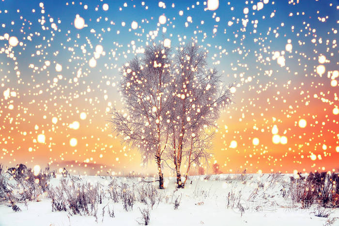 冬天圣诞节背景神奇的雪花落在雪草甸与树木圣诞景观