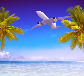 飞机在地处热带的海滩