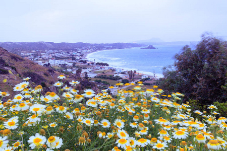 海洋水 landsceape