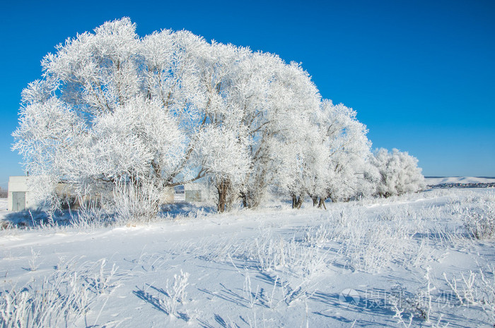 冬天的太阳霜冷在温度降至冰点以下时在地面或其他表