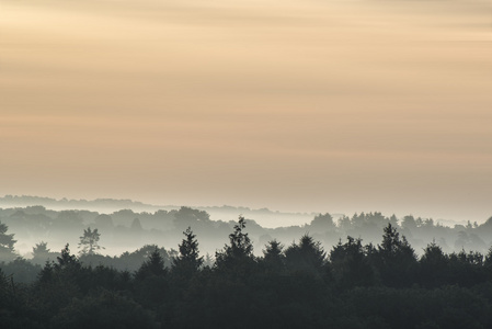 森林景观与农村的日出雾层