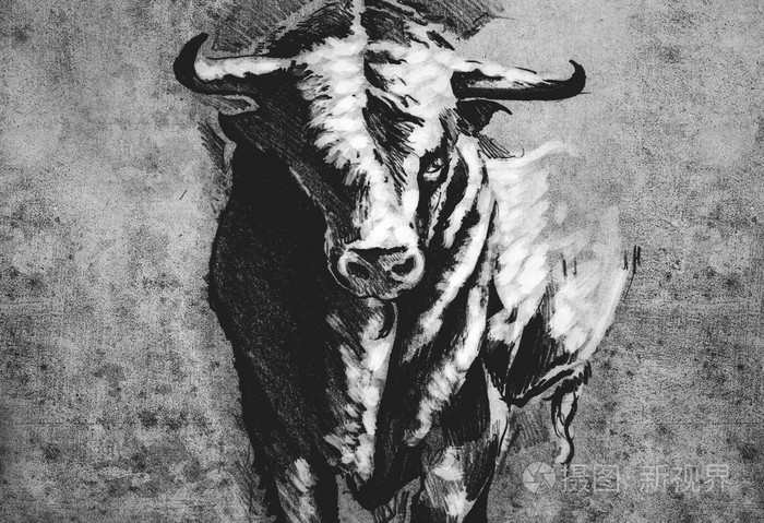 西班牙公牛危险公牛以喙h