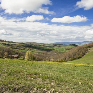 意大利景观与字段和牧场