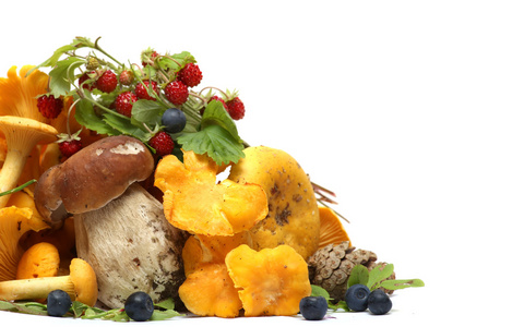 森林里的礼物照片