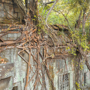 崩密寺，吴哥，柬埔寨