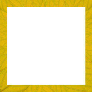 方框背景素材图片_方框背景图片素材下载_摄图新视界