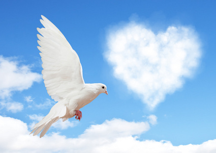 天空的心形状云与鸽子照片