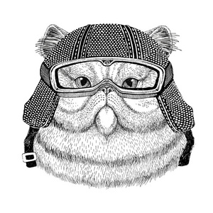 蓬松的波斯猫穿着老式摩托车头盔纹身 徽章 标志 标识 修补程序 t 恤的肖像