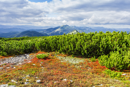 山秋天风景