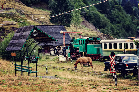 那匹马放牧在博物馆旧村。乌克兰的 Carpath