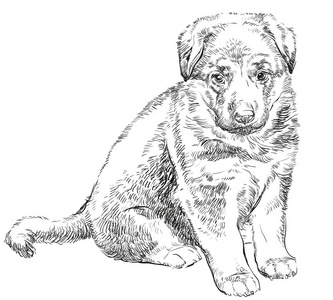 德国牧羊犬剪影图片