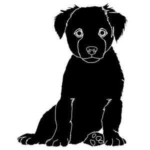 黑色的小狗剪影照片